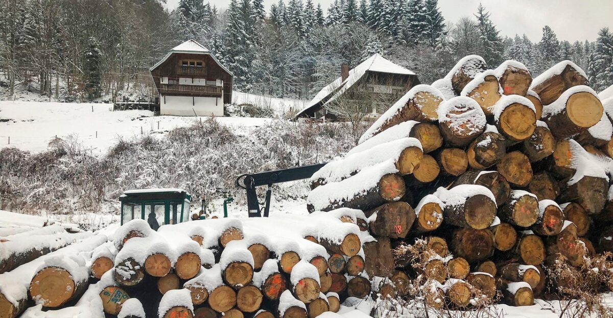 forest fog wood sawmill black forest mountain hillside snow nature mystical