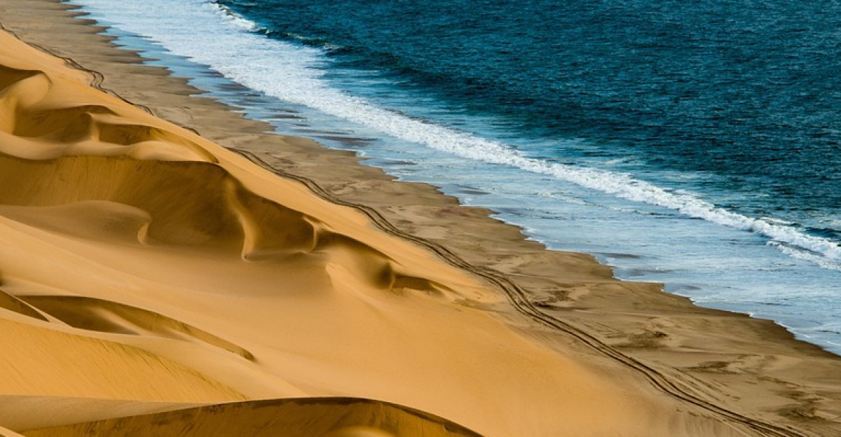 dunes, sea, coast, sand, outdoors, nature, wilderness, shore