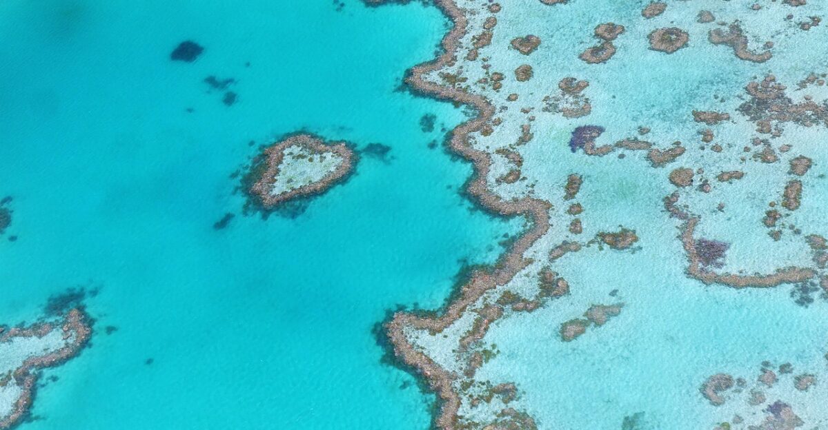heart reef australia great barrier reef australia australia australia great barrier reef great barrier reef great barrier reef great barrier reef great barrier reef