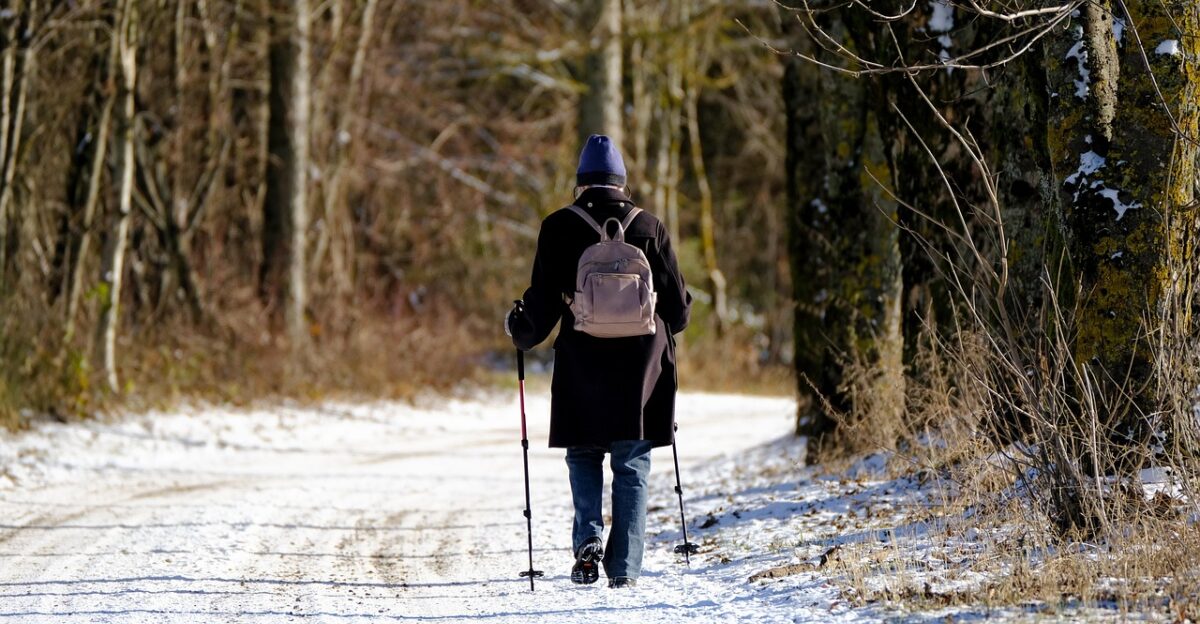 winter snow woman old on foot old woman hike hoarfrost snow desert road path winterscape healthy fitness forest forest path nature cold snow landscape sports winter snow on foot on foot on foot on foot old woman old woman old woman old woman old woman