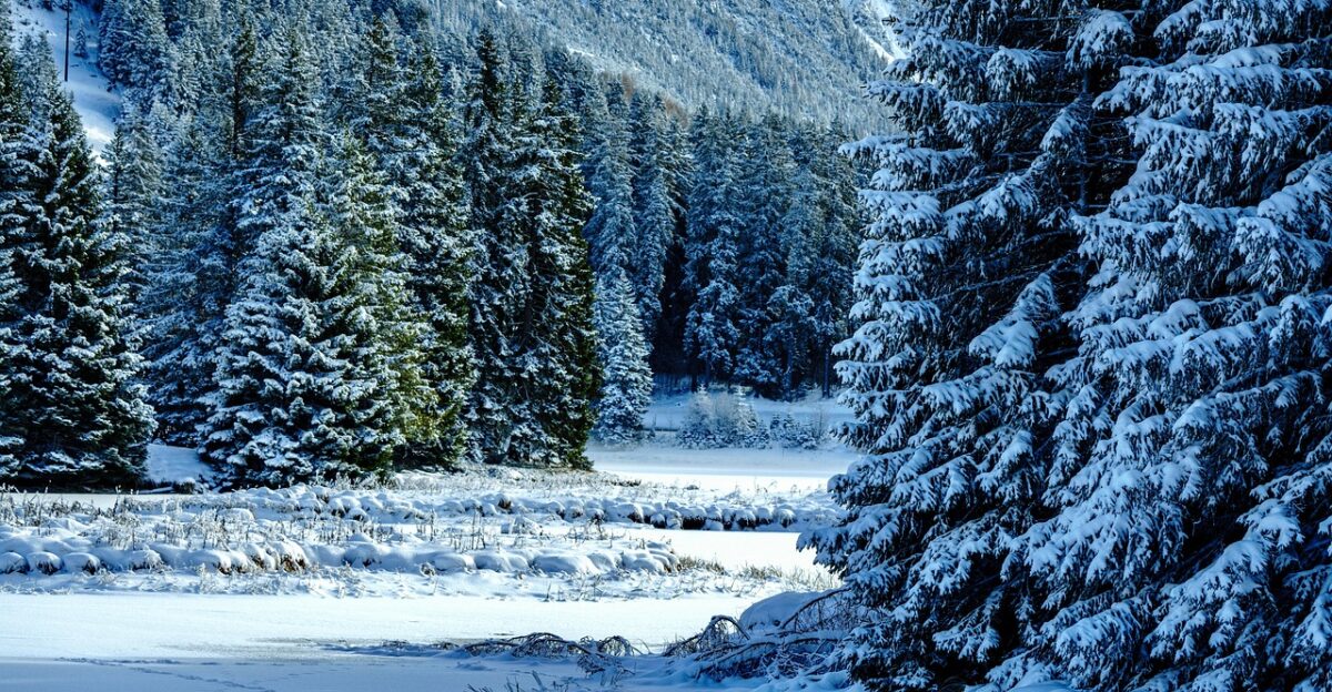 winter snow mountains winter landscape snow landscape covered in snow ice cream frozen nature winter winter winter winter winter snow snow winter landscape nature