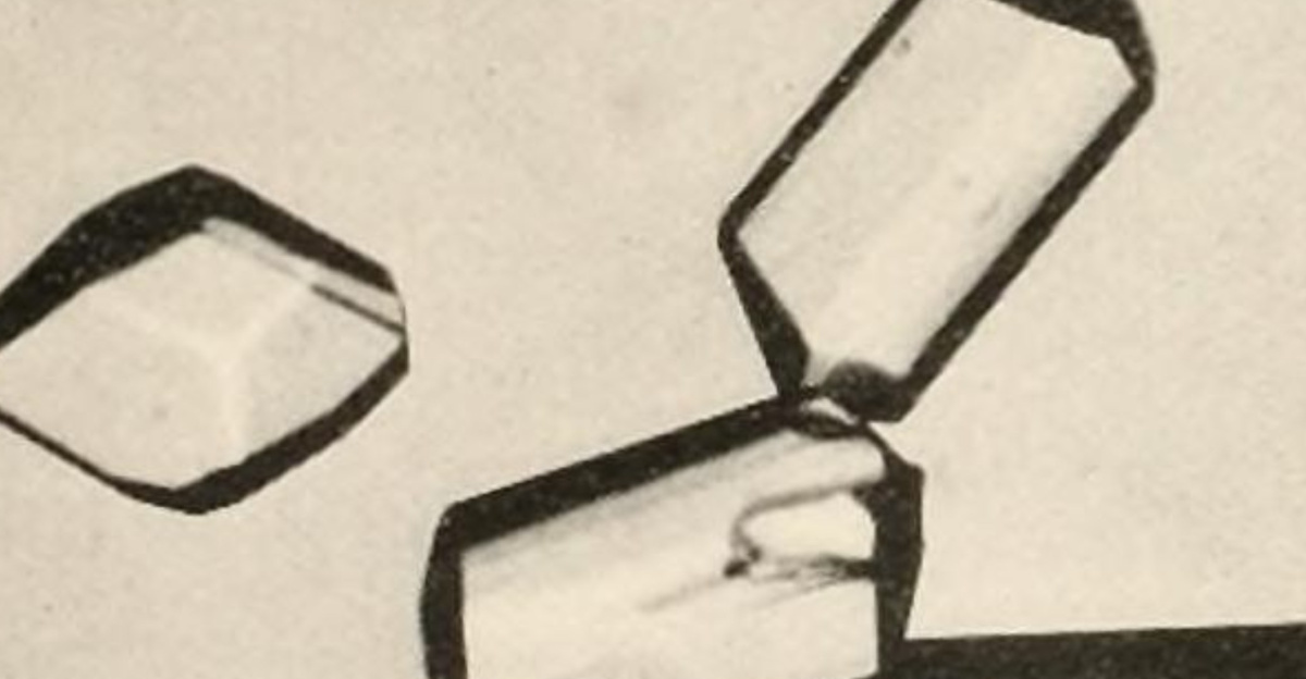 Glycine crystals (45x magnification)