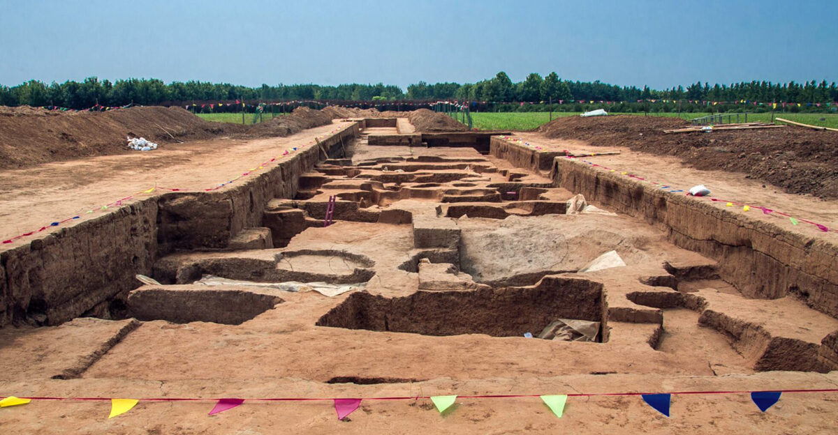 Archaeology In Action Council on Archaeological Studies