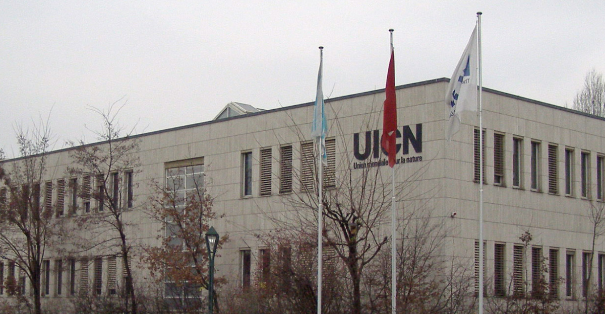 Headquarters of the IUCN in Gland, Switzerland, prior to construction of the IUCN Conservation Centre which opened next to the old headquarters building in June 2010.