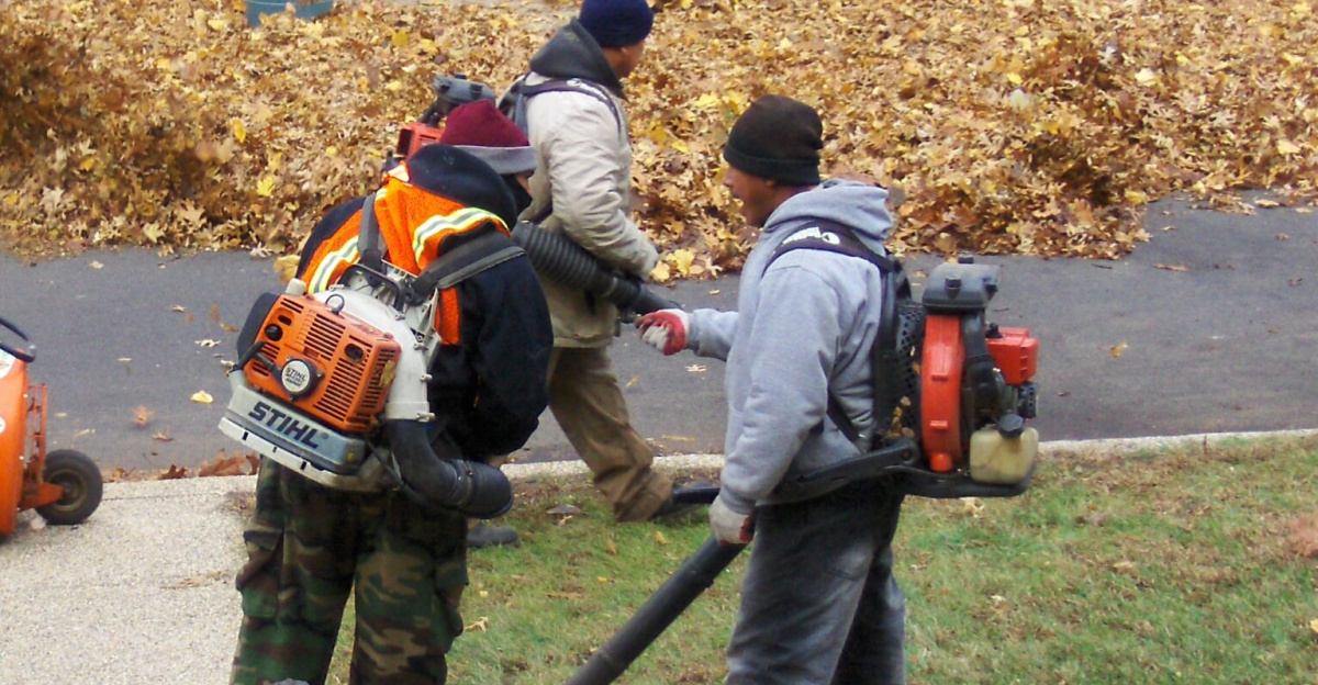 Leaf blowers in action, Forest Hills, Queens, New York, USA. – "Before I could get around to raking the strip of grass in front of our house, the neighborhood association sent around a platoon to take care of it for everyone. I discovered that a half-dozen guys with leaf-blowers can clear my grass in about four seconds."