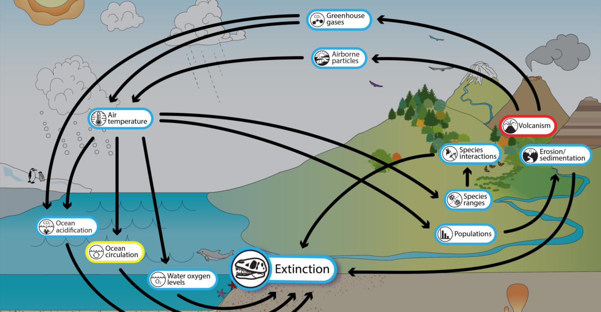 Volcanic activity and mass extinction