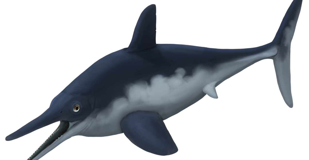 Ichthyosauria - Wikipedia