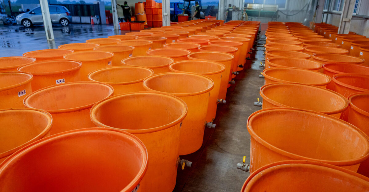 Orange buckets