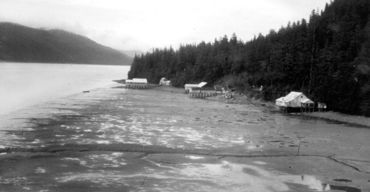 USGS description Alaska Earthquake March 27 1964 Canneries and fishermen s homes along Orca Inlet in Prince William Sound placed above the reach of most tides due to about 6 feet of uplift Photo was taken at a 9-foot tide stage which would have reached beneath the docks prior to the earthquake Photo by G Plafker July 27 1964 Figure 28 U S Geological Survey Professional paper 543-I