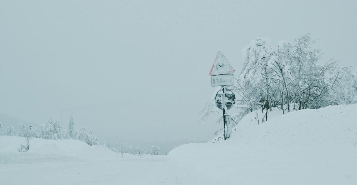 A snowy road during winter with snow-laden trees and a road sign
