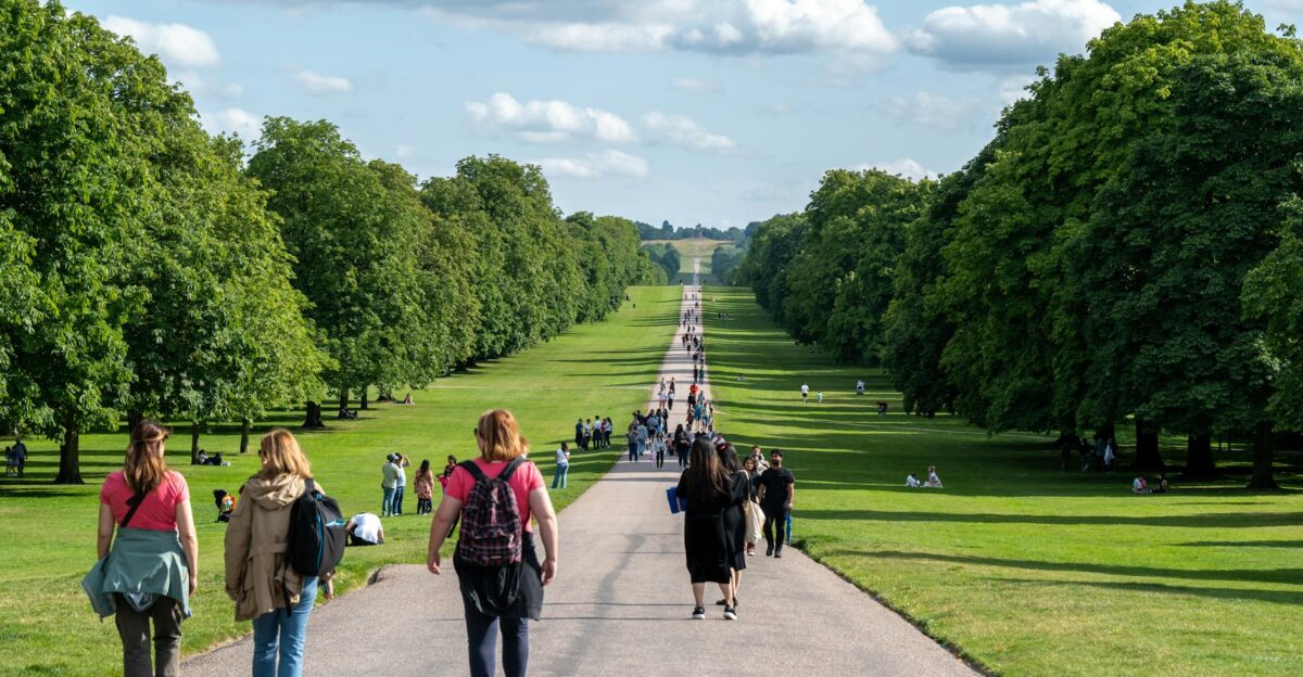 People enjoying a sunny walk along the Long Walk in Windsor Great Park England