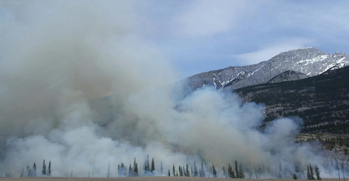 Capture of a forest fire with smoke rising against a mountain backdrop in a scenic natural landscape