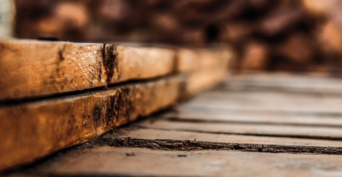 Detailed close-up of rustic wooden planks showcasing texture and earthy tones