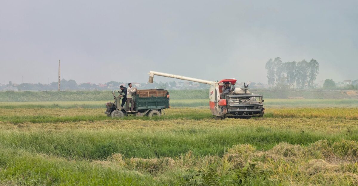A harvester transferring crops to a truck in an expansive green field showcasing rural agriculture