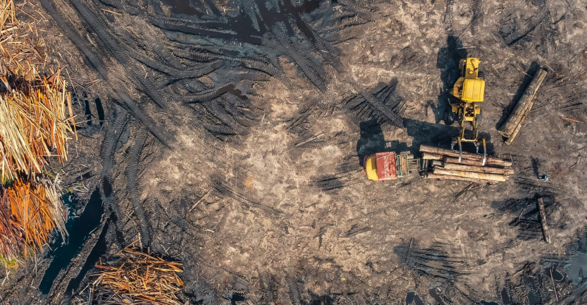 Aerial shot depicting heavy machinery in a deforested area, highlighting environmental impact.