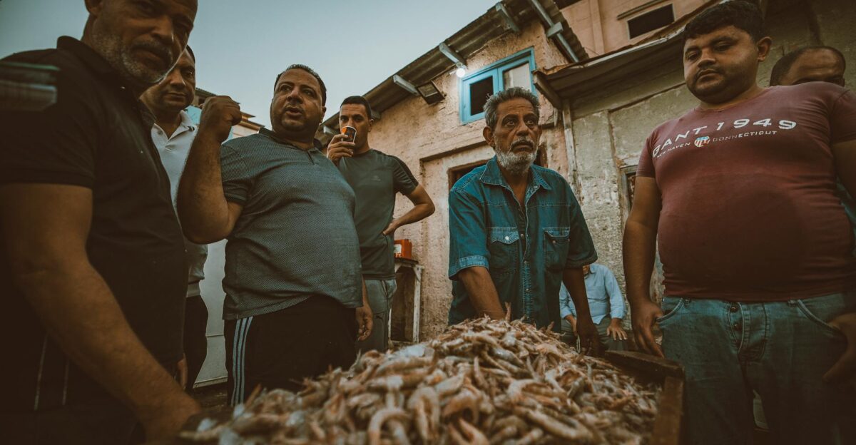 Free stock photo of 4k photos action adventure