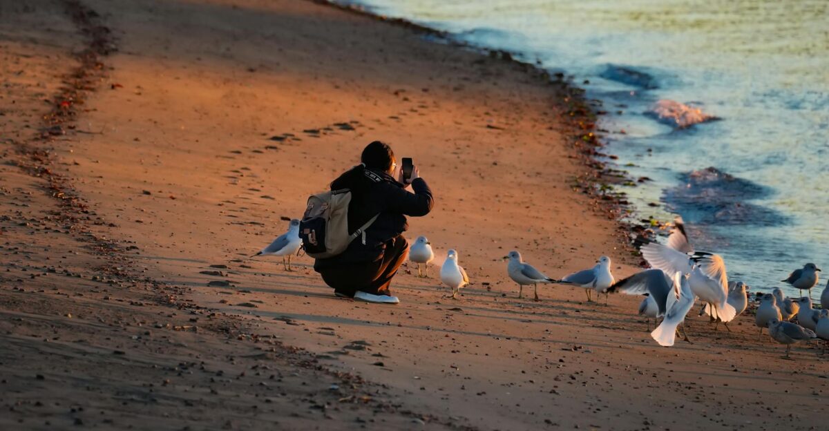 Free stock photo of autumn autumn colors connecticut