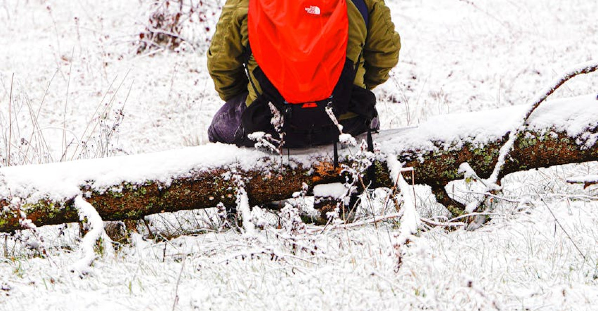 heaviest single-storm snowfall totals ever recorded in Michiga