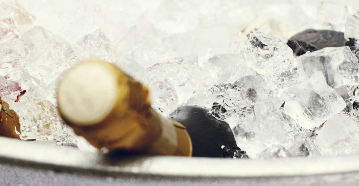 Close-up of chilled champagne bottles in an ice bucket, perfect for celebrations and parties.