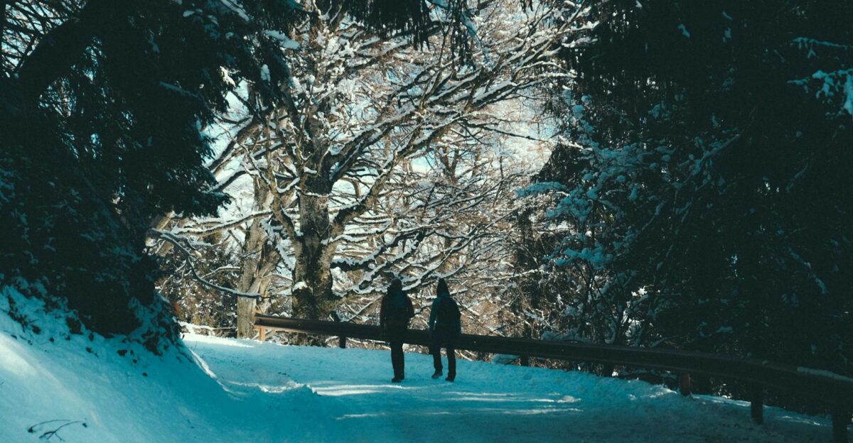 Two people walking on a snowy path surrounded by frosty trees a serene winter scene
