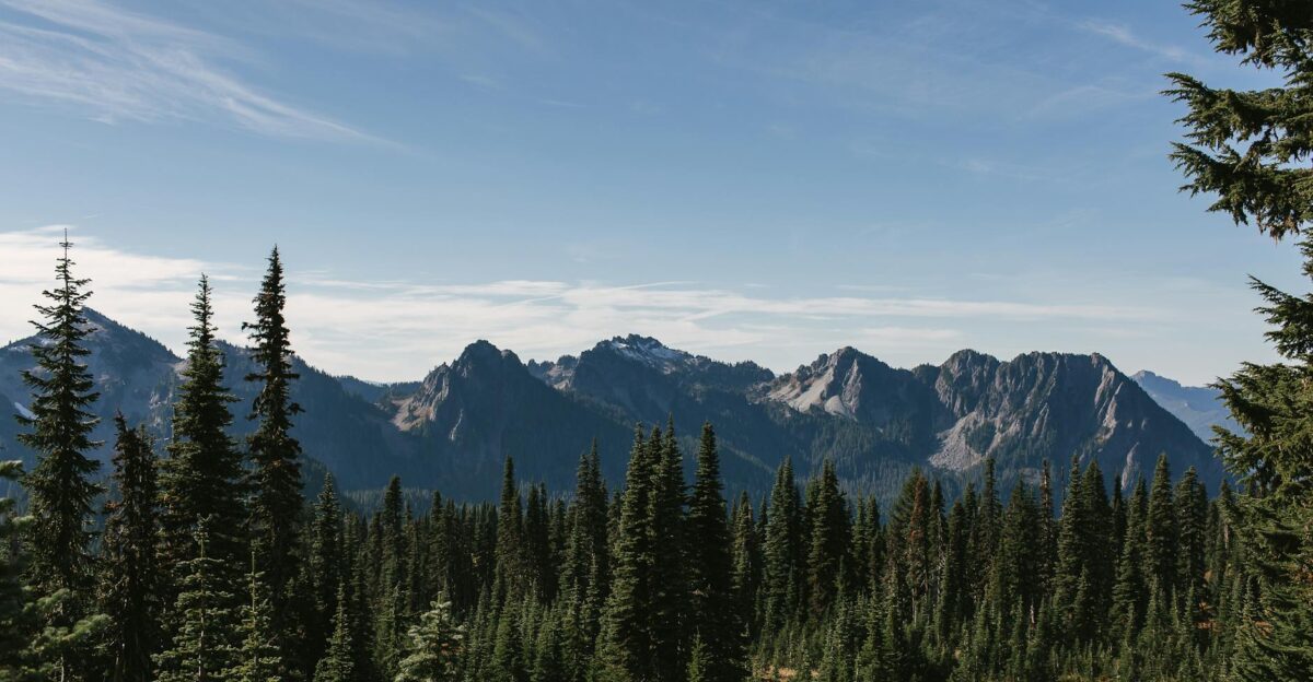 Breathtaking view of Mount Rainier National Park with conifer trees and distant mountain range under a clear blue sky