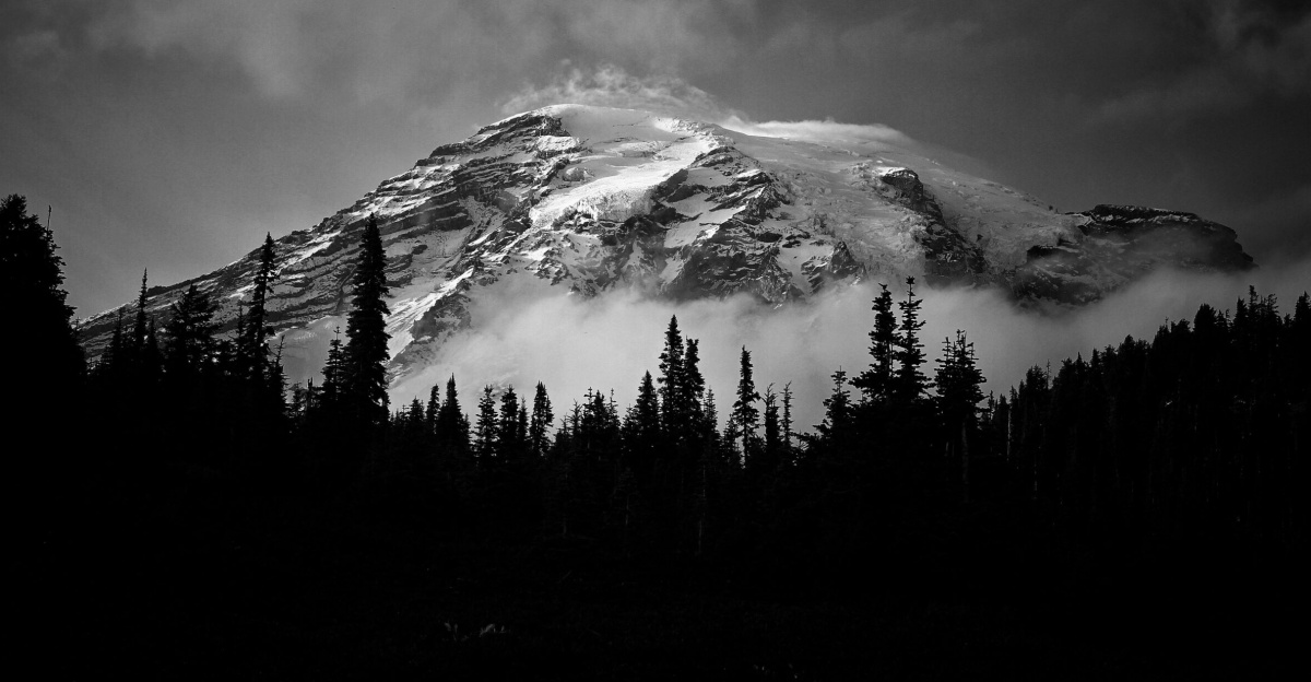 Majestic black and white landscape of Mount Rainier surrounded by fog and trees.