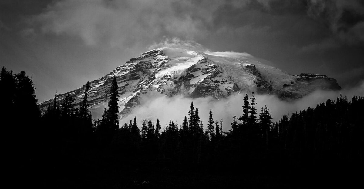 Majestic black and white landscape of Mount Rainier surrounded by fog and trees
