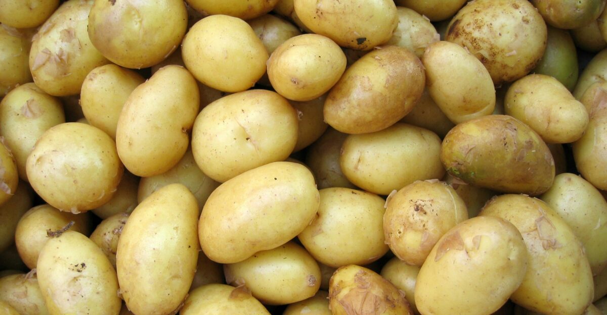 potatoes