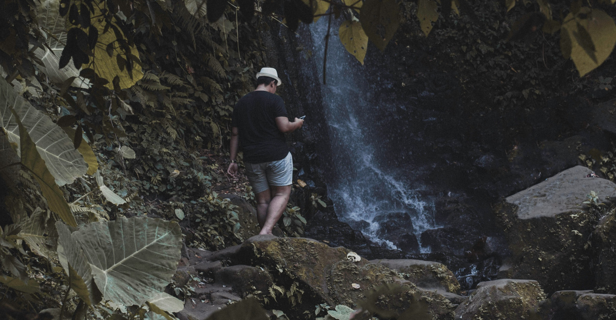 person standing near waterfall in forest