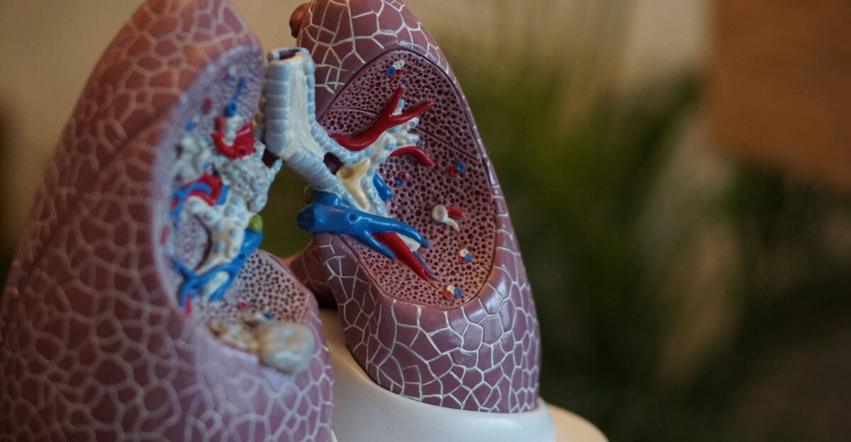 selective focus photography of anatomy lungs