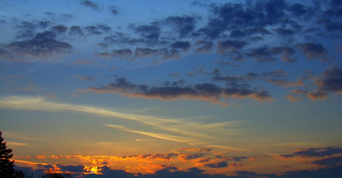 trees under cloudy sky during golden hour