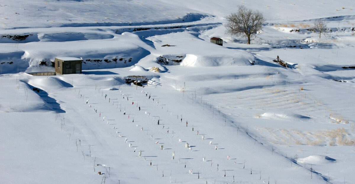 house surrounded with snow