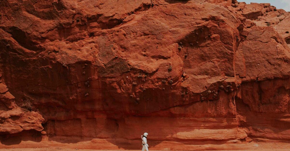 person walking near brown rock