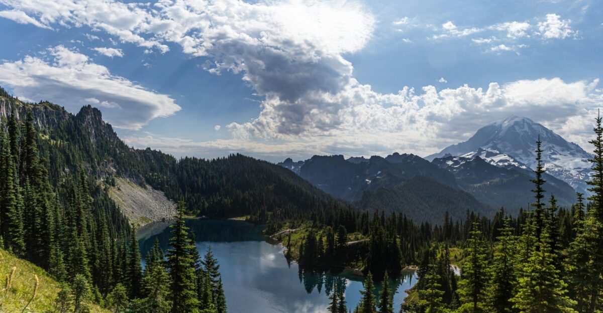 green trees near lake under white clouds and blue sky during daytime