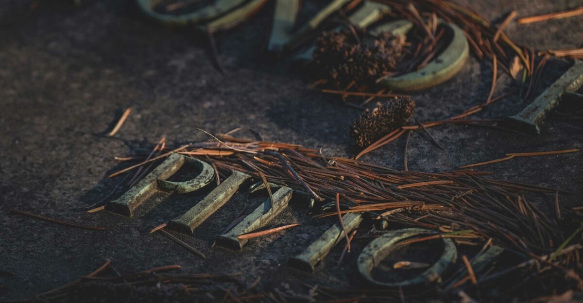 brown dried leaves on black soil