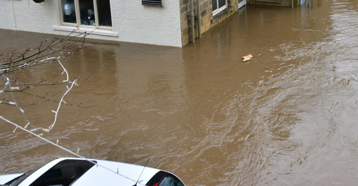 brown and white concrete house beside river during daytime