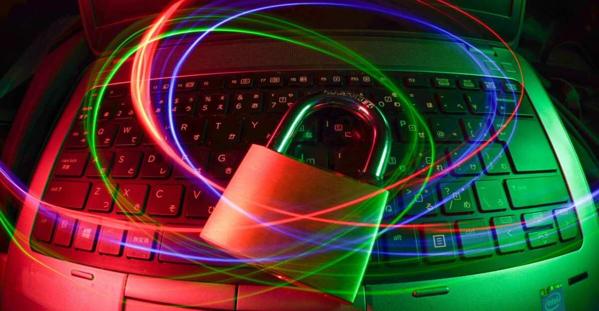 purple and pink light illustration