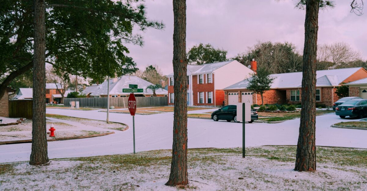 green tree near white and brown house during daytime
