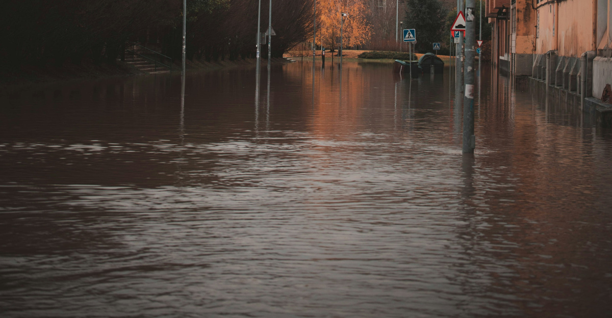 a flooded city street with birds flying over it