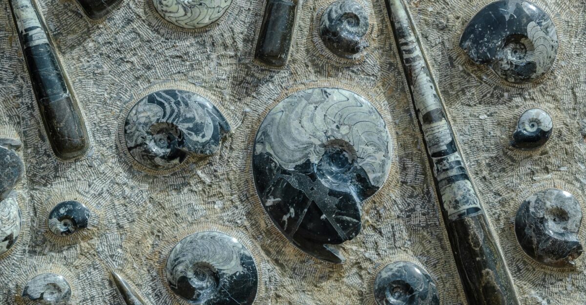 a close up of a bunch of different items on a table