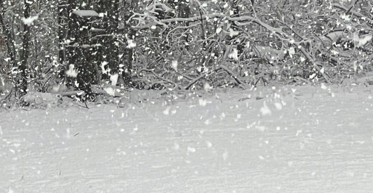 a man riding a snowboard down a snow covered slope