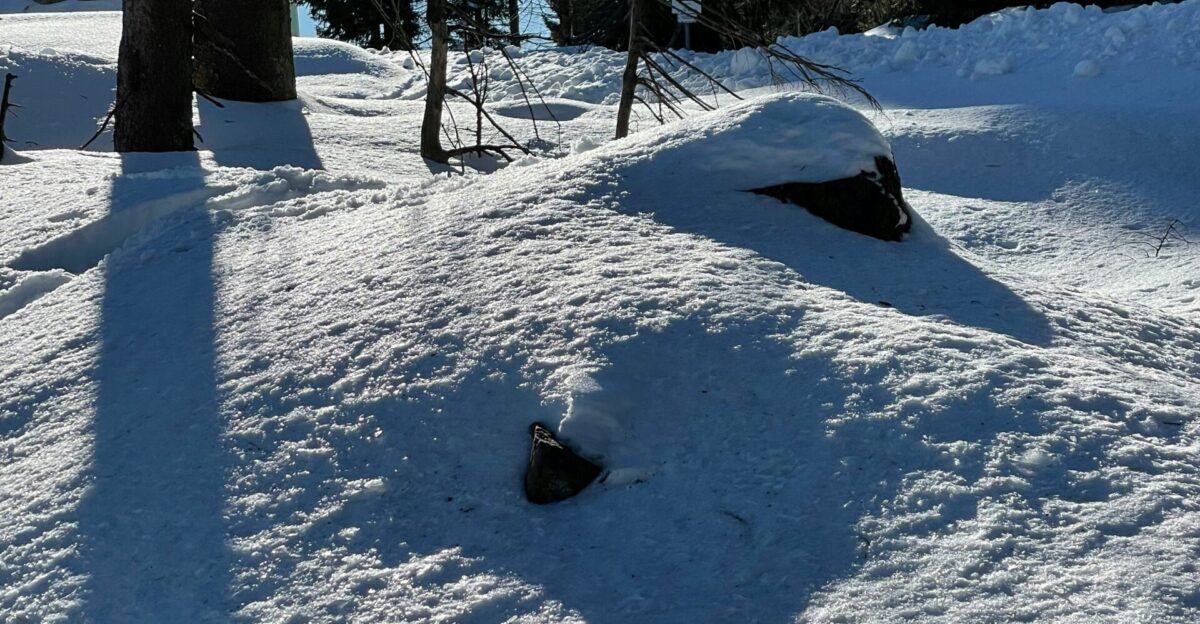the shadow of a person on skis in the snow