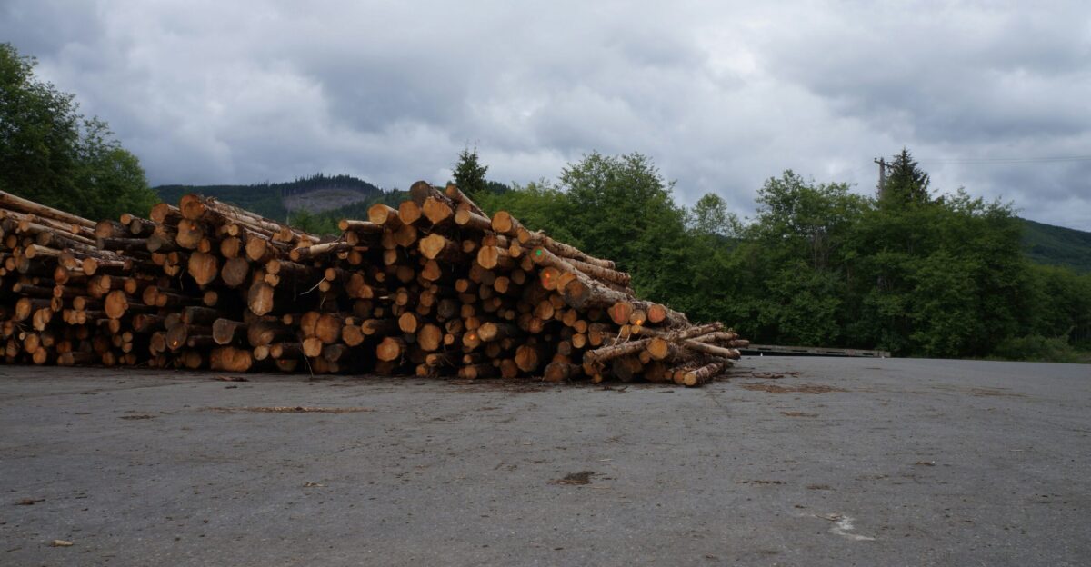 a pile of logs sitting on top of a parking lot