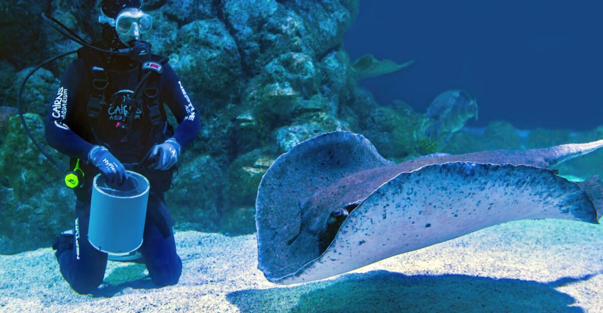 a man in a scuba suit holding a bucket next to a stingfish