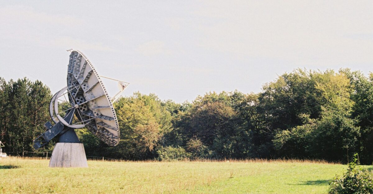 a sculpture in a field