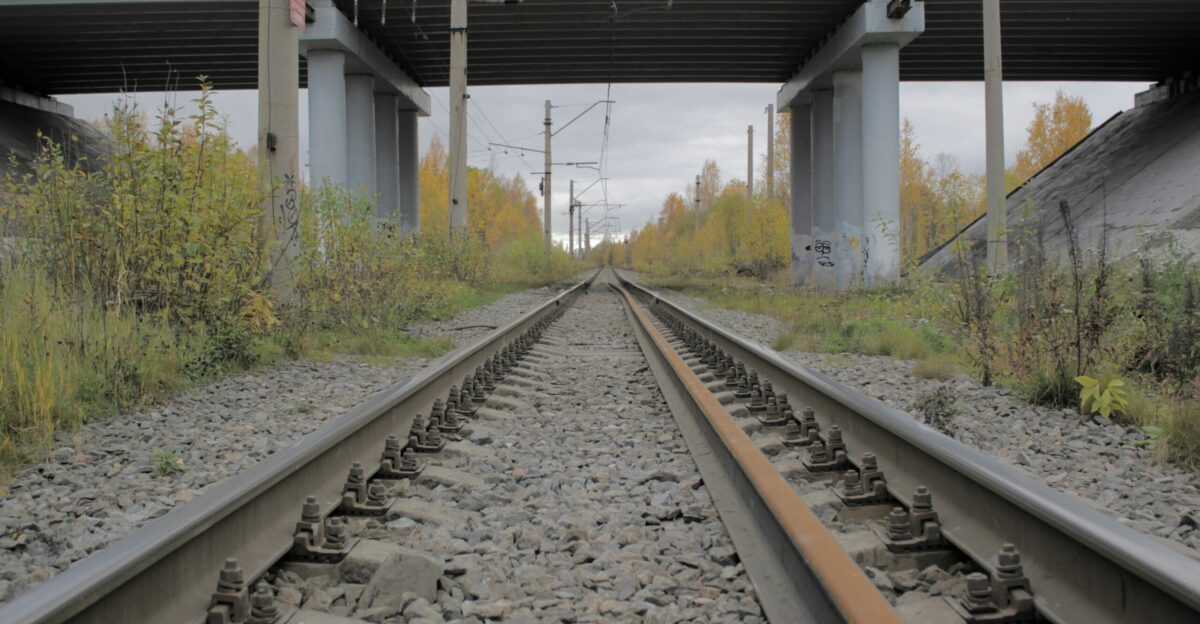 a train track under an overpass with trees in the background