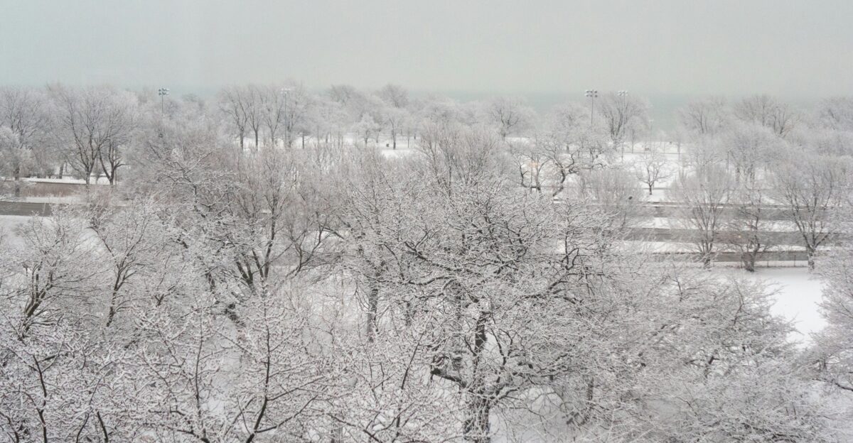 a snowy landscape with trees and a fence