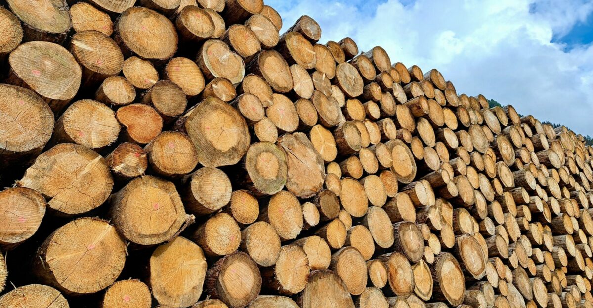 A large pile of logs sitting on top of a field