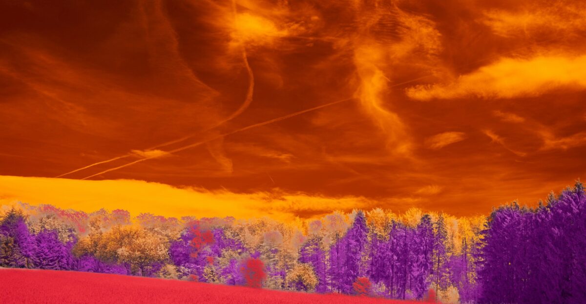 A red field with trees and clouds in the background