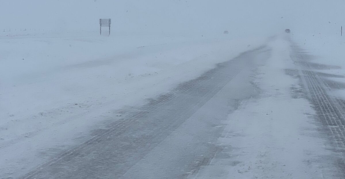 Heavy Snow in Southwest and South Central North Dakota March 5 2023